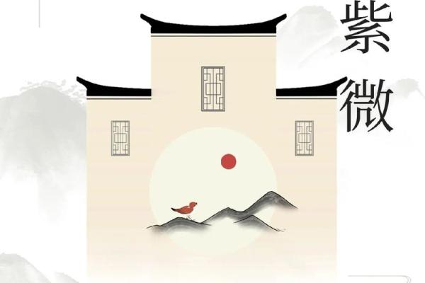 紫薇斗数看文化