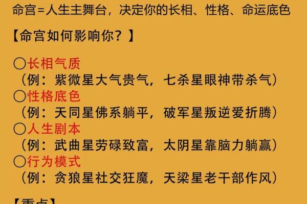 紫薇斗数看文化