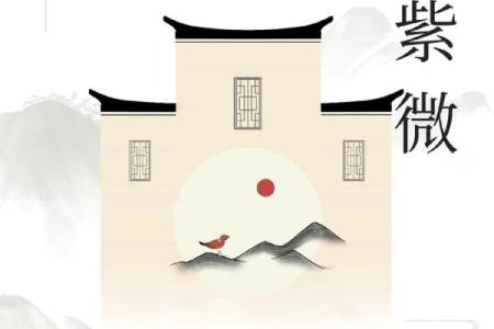紫薇斗数看文化