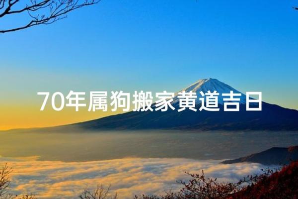 属狗出生最好六个吉日,属狗什么日子出生最好