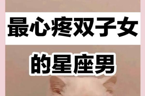 双子座最稀罕的星座 双子座开始反感你了