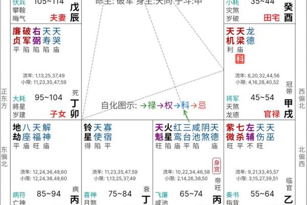紫薇斗数看玄学体质
