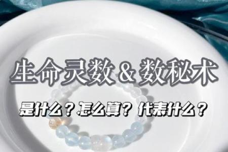 生命灵数2和5配对到老吗