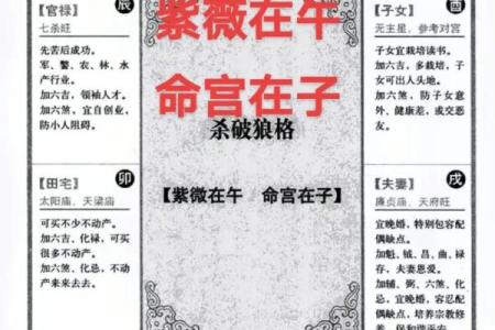 紫薇斗数三大格局