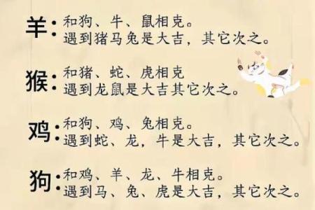 老祖宗姻缘配对表