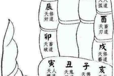 佛经说两种算命