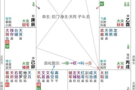 紫薇斗数离婚化忌