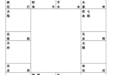 紫薇斗数状元格