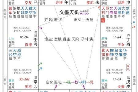 十二紫微斗数 十二紫微斗数对照表？