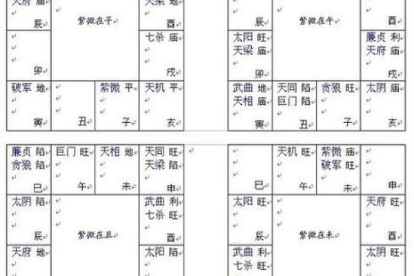 紫薇斗数下载