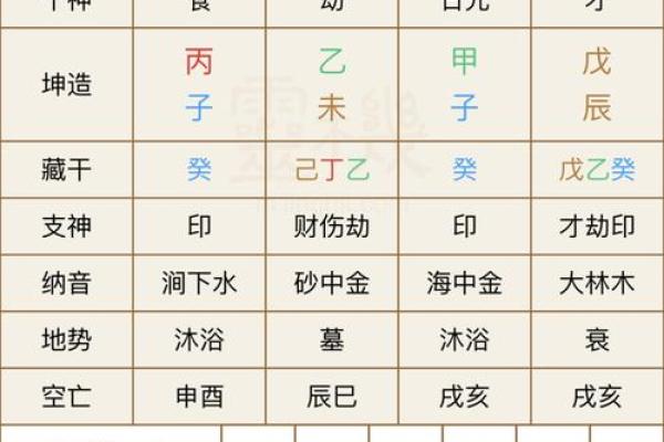 怎么看八字命盘,如何解读八字排盘