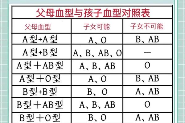 a型血和b型生的孩子是什么血型呢