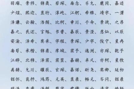 2019年3月19号丑时出生的男孩应该起什么样的名字姓名