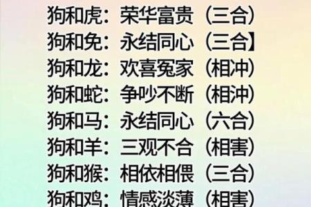 生肖配对表 年份生肖配对表