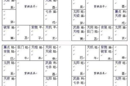紫薇斗数下载