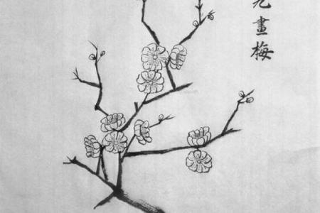 紫薇斗数入门梅花