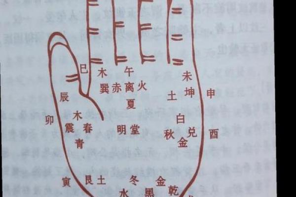 图解：手相金星环算命