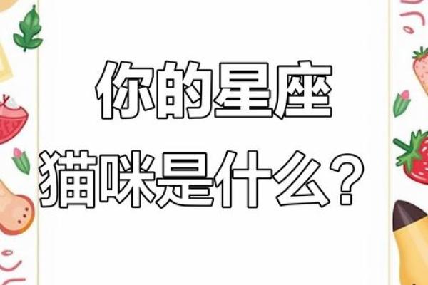 十二星座白羊座适合什么宠物类型
