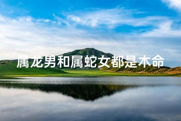 属龙男和属蛇女相配吗 属龙男配对的属相婚配表