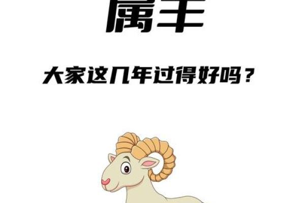 91年属什么生肖配对