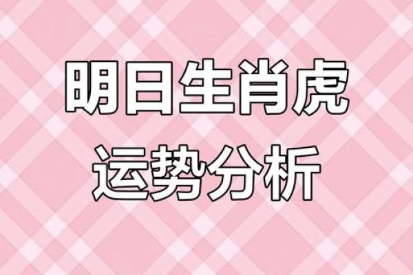 属虎方位吉凶查询大全视频