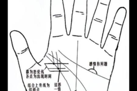 图解：手相金星环算命
