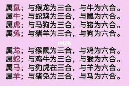 龙跟什么生肖配对最好 生肖龙最佳配对
