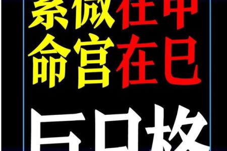 紫薇斗数求解盘