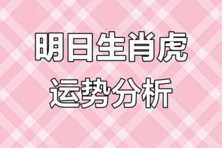 属虎方位吉凶查询大全视频