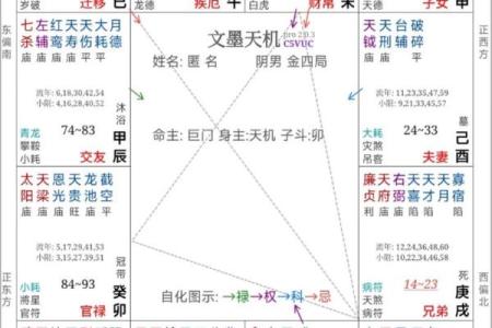 紫薇命理斗数app