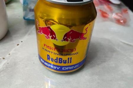 红牛风水师