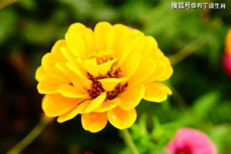 哪些血型妖女最让男人着迷