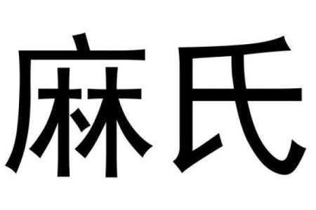麻姓男孩名字大全-麻姓男孩起名字大全-麻姓名字大全姓名