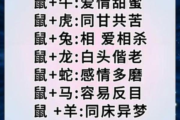 龙和老鼠属相合不合 龙和老鼠配对如何