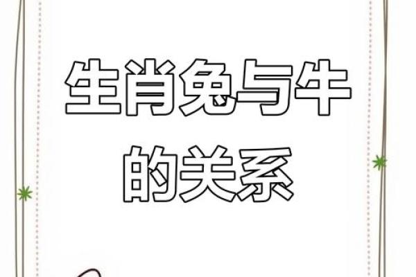 生肖兔和兔的配对是否适合