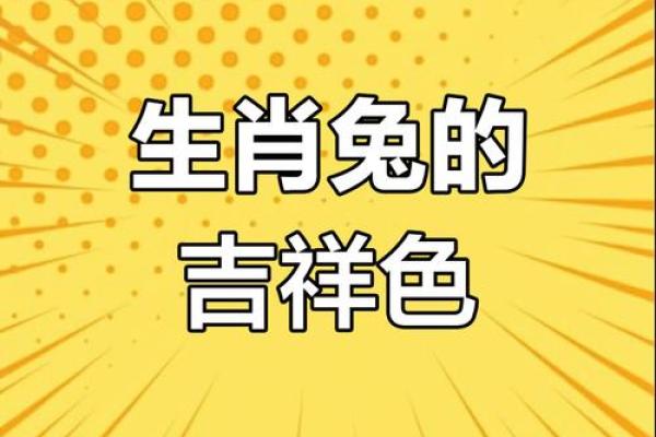生肖兔和兔的配对是否适合