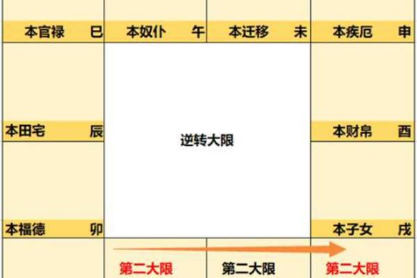 紫薇斗数看大限运势