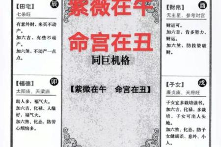 网盘紫薇斗数