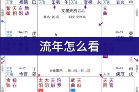 紫薇斗数看每日运势