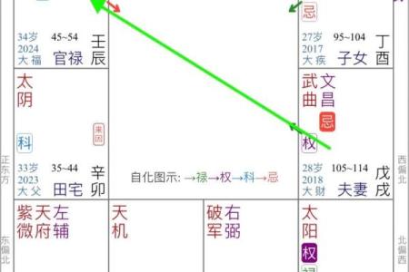 紫微斗数看会拥有美好婚姻的人
