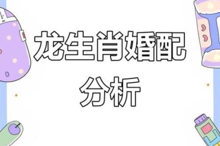 2000属龙女最佳配对 2000年龙女和什么最配