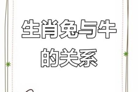 生肖兔和兔的配对是否适合