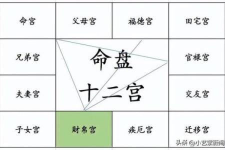 紫薇在官禄宫旺