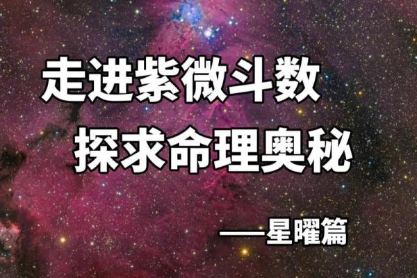 紫薇斗数贪狼