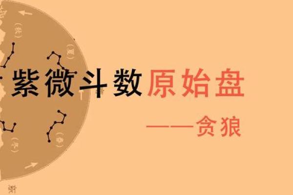 紫薇斗数贪狼