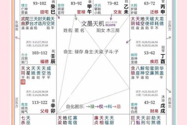 紫薇斗数看老运