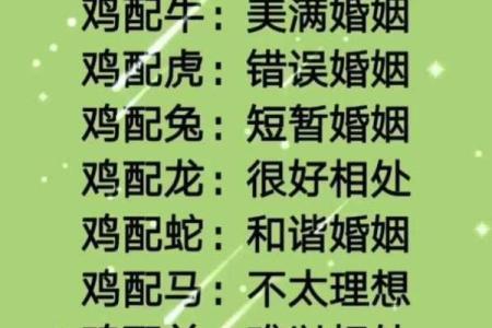 12生肖婚姻配对宜忌