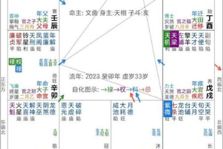 紫微斗数探源 紫微斗数讲堂？