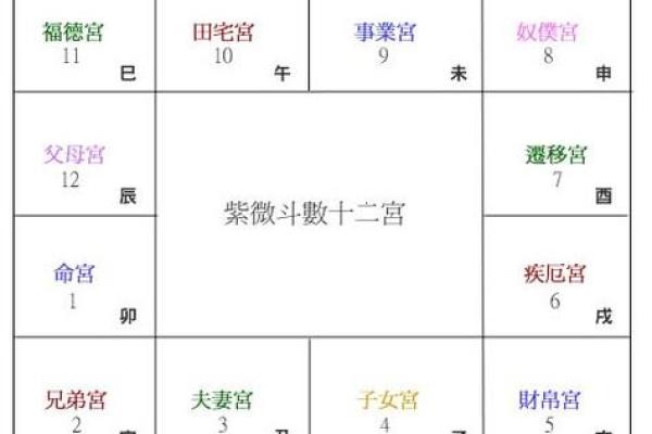紫薇斗数举门宫