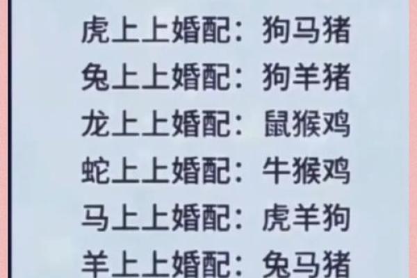 婚姻属相配对大全很准免费 十二生肖婚姻配对表